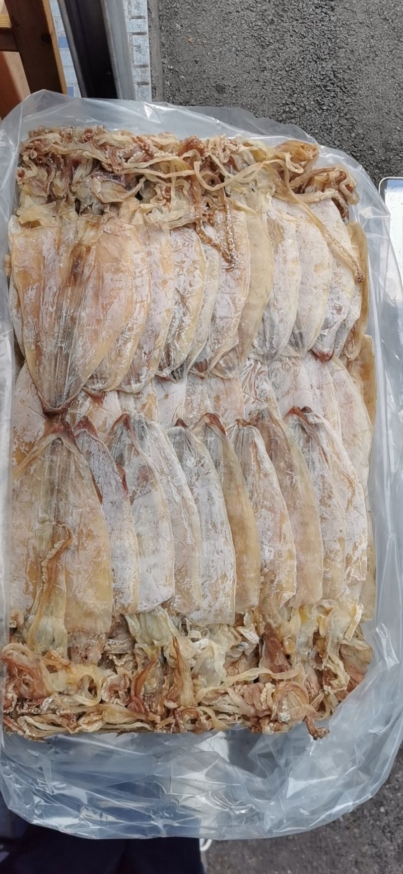 2AAAA，烧烤鱿鱼，芥末鱿鱼，精品