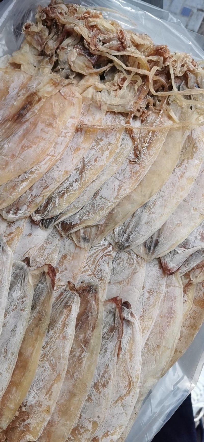 2AAAA，烧烤鱿鱼，芥末鱿鱼，精品