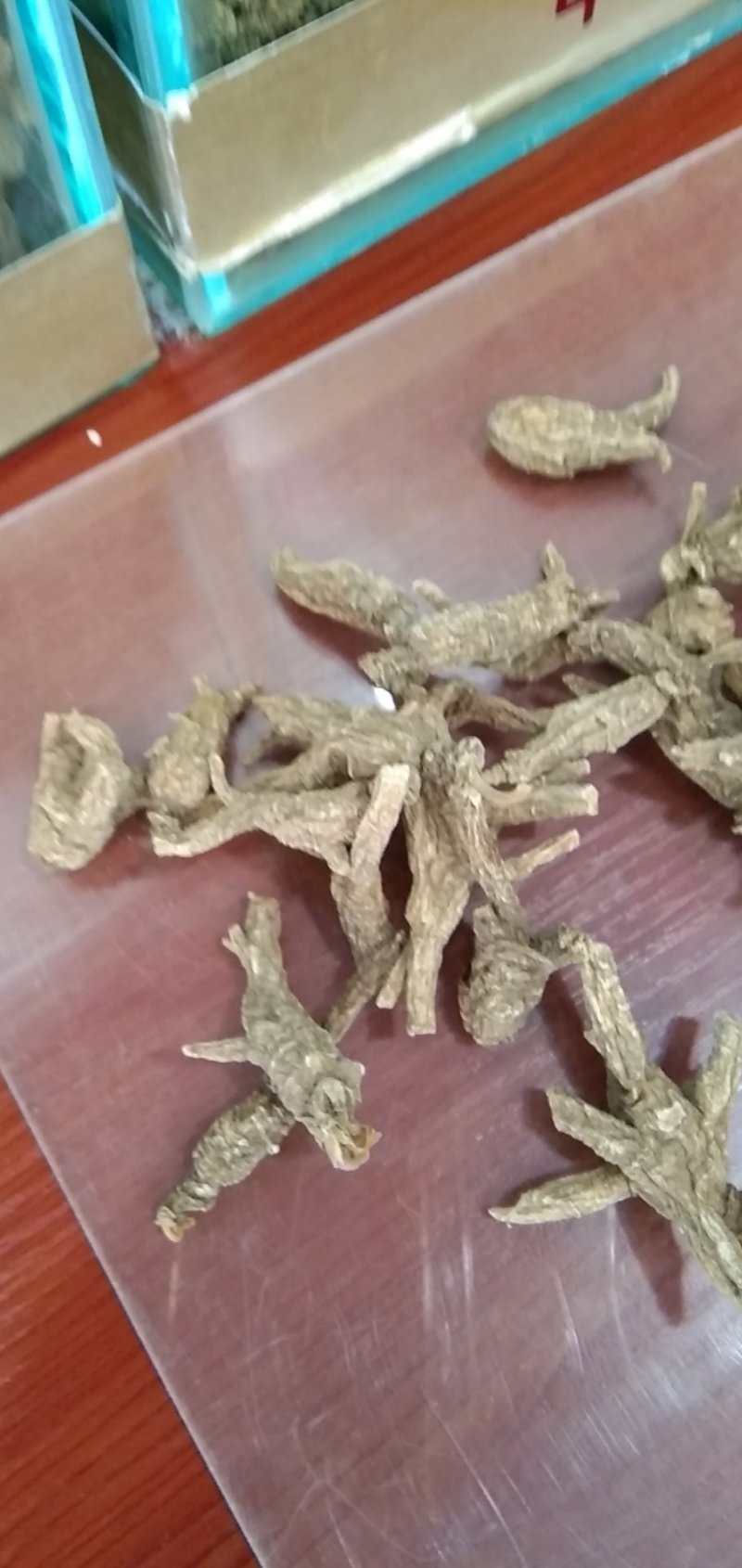花旗参个子，花旗参片子，精品大货