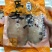 湛江特产一夜埕马友鱼
