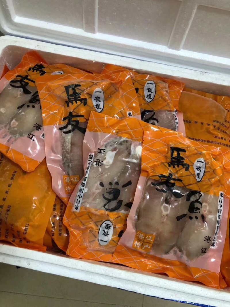 湛江特产一夜埕马友鱼
