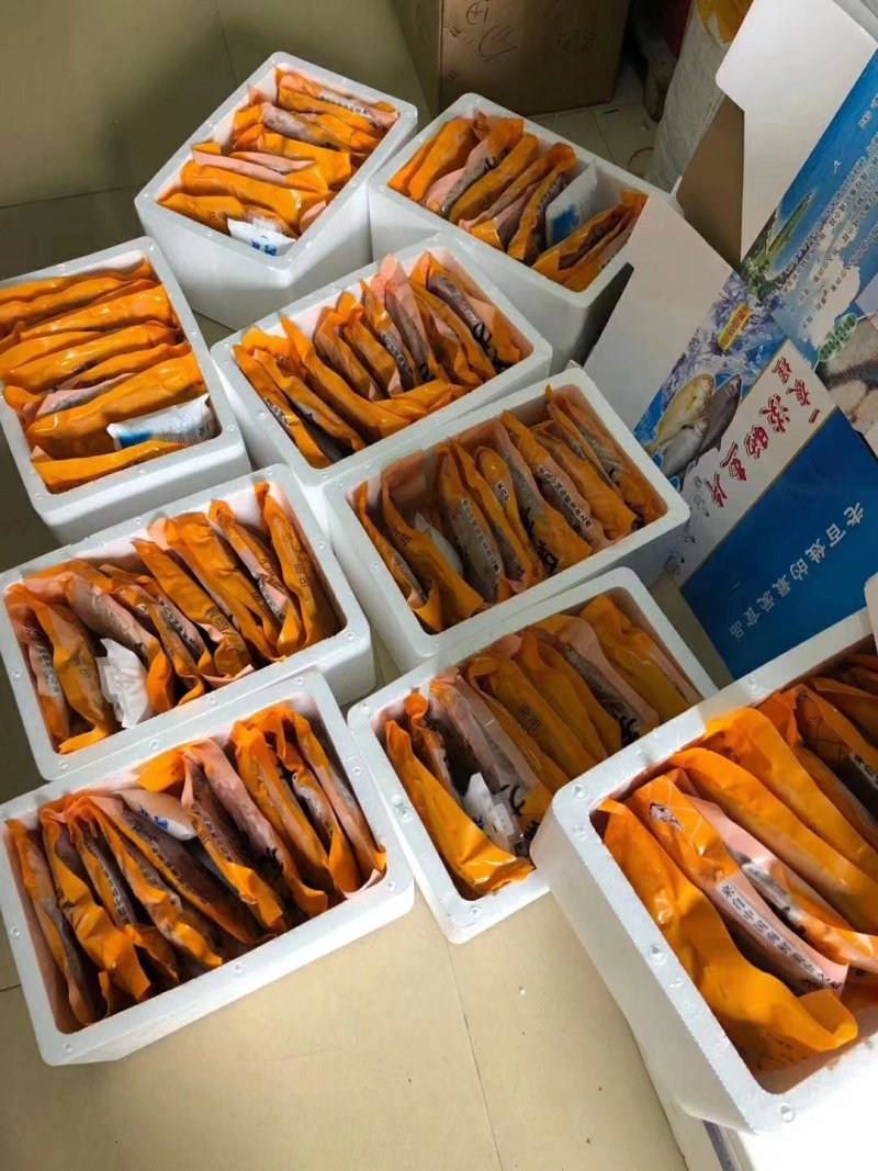 湛江特产一夜埕马友鱼