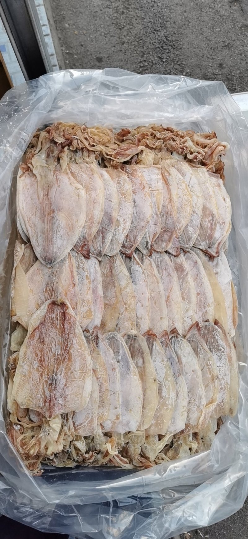 3AAAA烧烤鱿鱼芥末鱿鱼，物美廉价