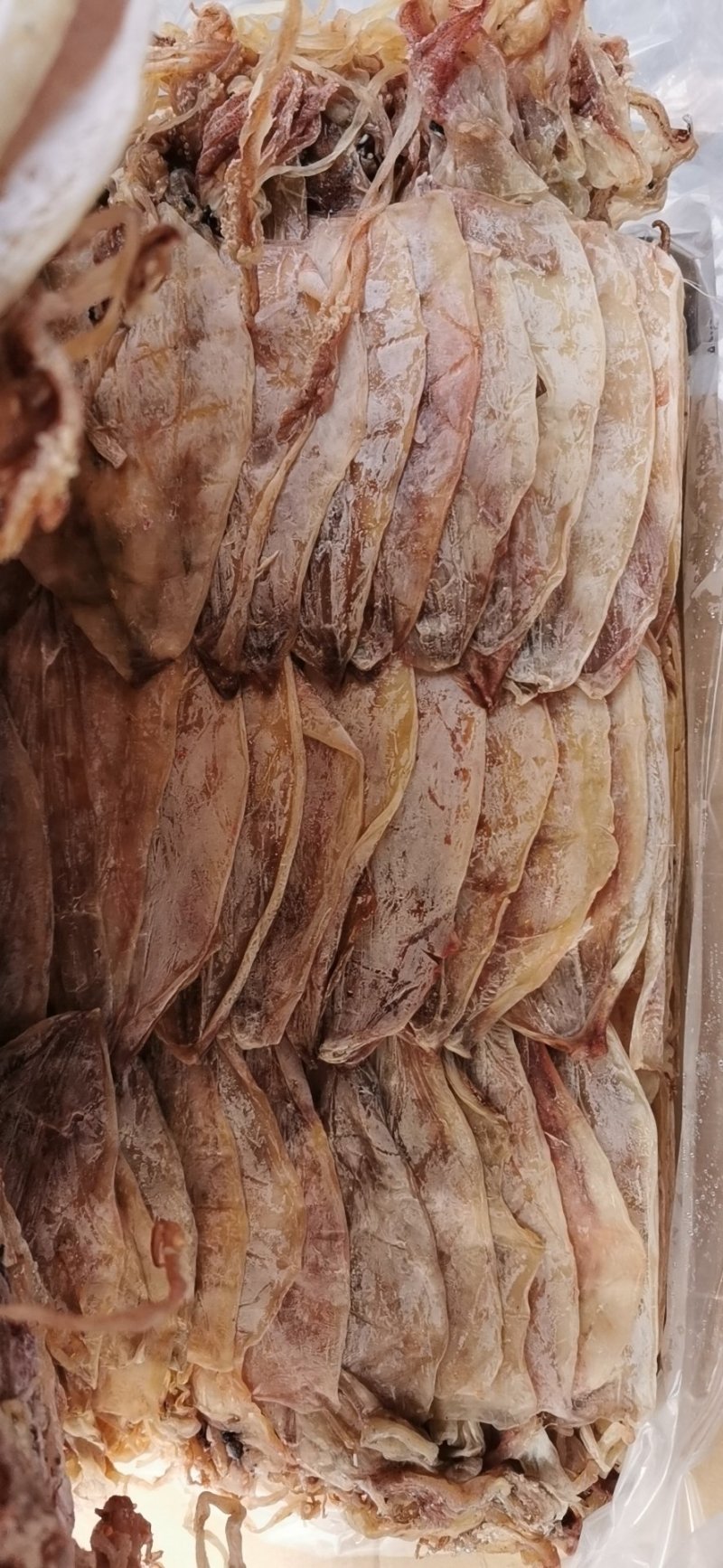 3AAAA烧烤鱿鱼芥末鱿鱼，物美廉价