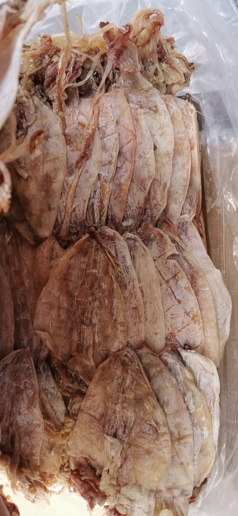 3AAAA烧烤鱿鱼芥末鱿鱼，物美廉价