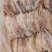 3AAAA烧烤鱿鱼芥末鱿鱼，物美廉价