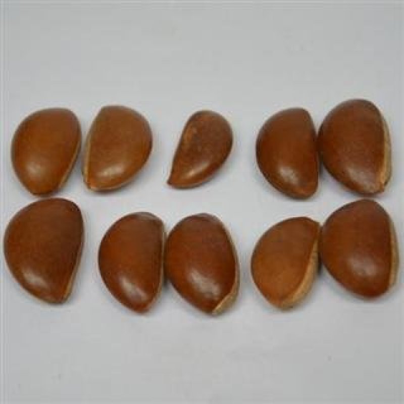 月亮果，可做工艺品，手产地直供道地药材，支持线上交易保障