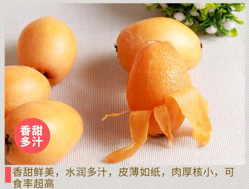 一件代发包邮福建云霄甜批发，坏果包赔
