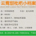 一件代发包邮福建云霄甜批发，坏果包赔