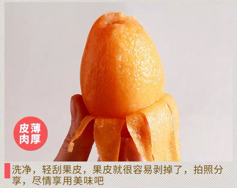 一件代发包邮福建云霄甜批发，坏果包赔