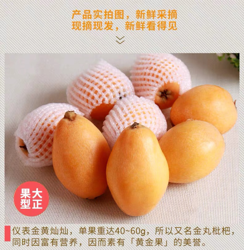 一件代发包邮福建云霄甜批发，坏果包赔