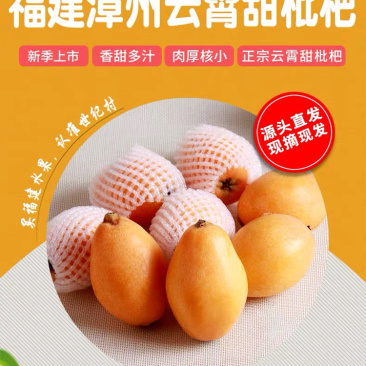 一件代发包邮福建云霄甜批发，坏果包赔