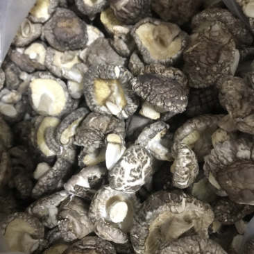 土特产香菇干菇花菇干货500g农家特级散装包邮天然绿色食