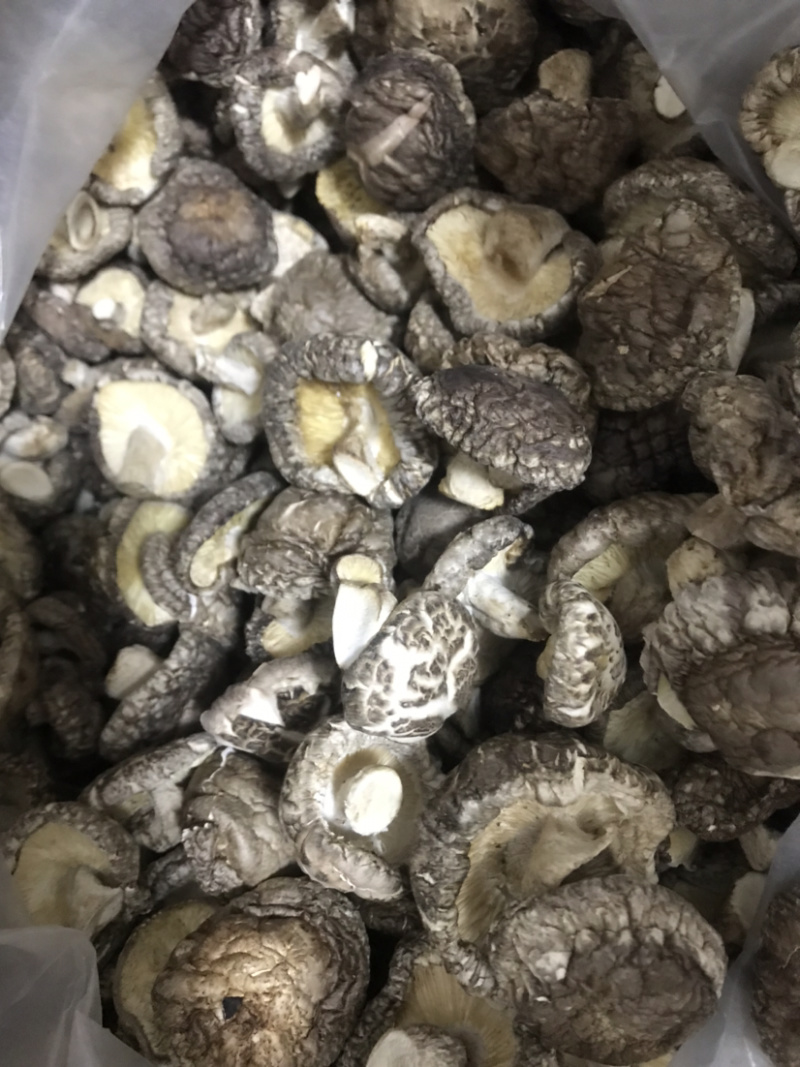 土特产香菇干菇花菇干货500g农家特级散装包邮天然绿色食