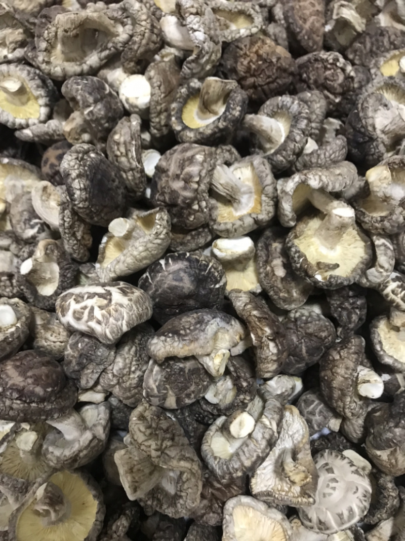 土特产香菇干菇花菇干货500g农家特级散装包邮天然绿色食