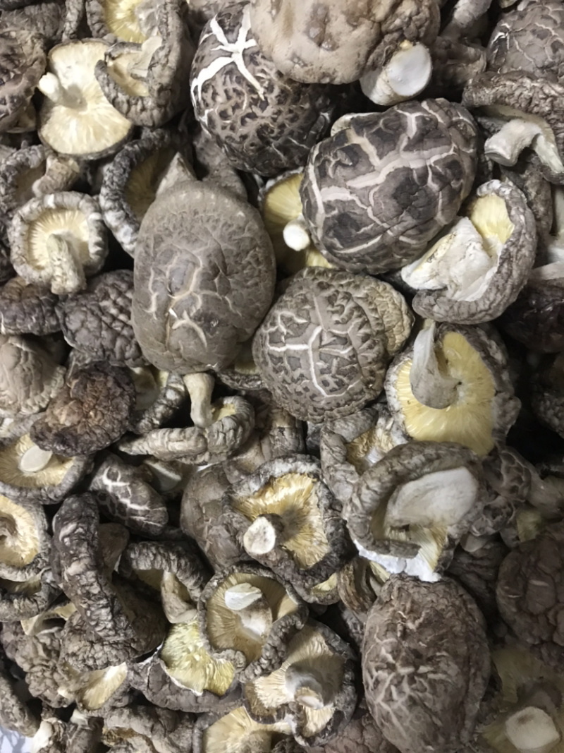 土特产香菇干菇花菇干货500g农家特级散装包邮天然绿色食