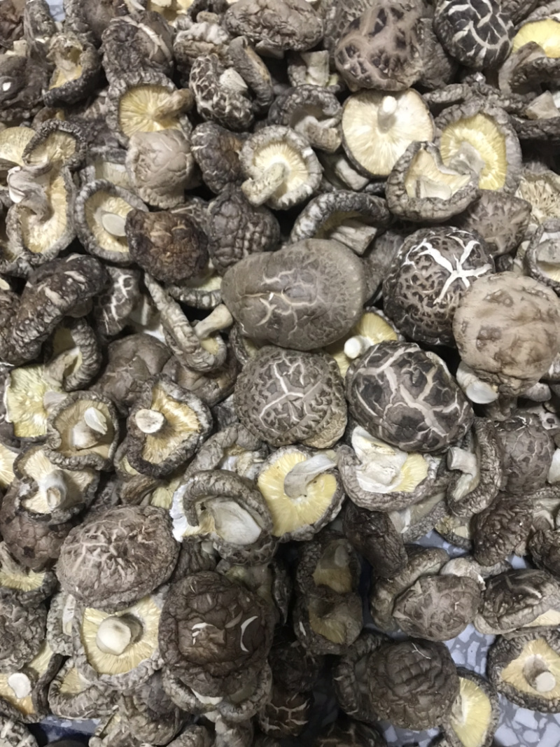 土特产香菇干菇花菇干货500g农家特级散装包邮天然绿色食