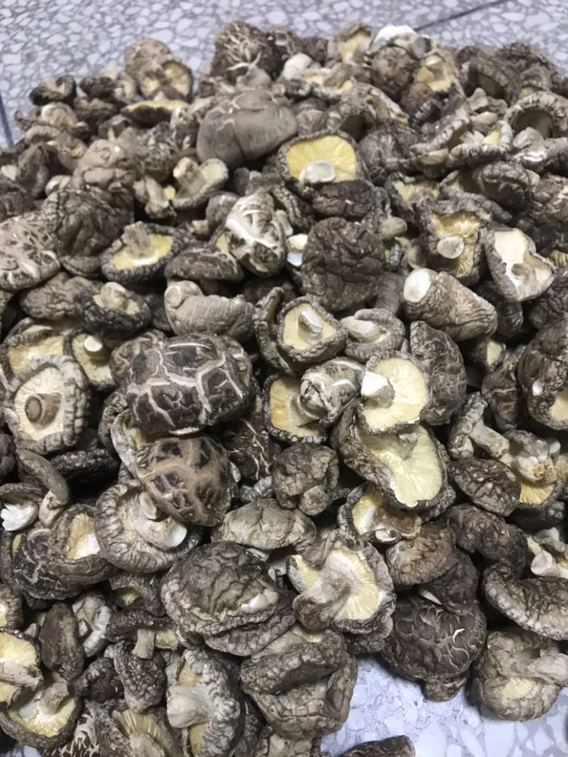 土特产香菇干菇花菇干货500g农家特级散装包邮天然绿色食