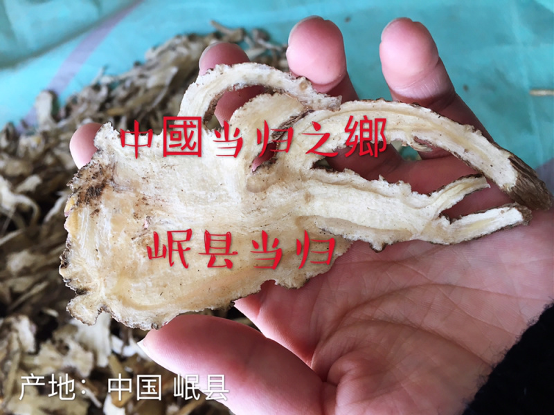 【原产地直销】甘肃岷县精品无硫当归切片品质保质保量
