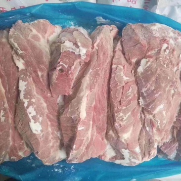 冻猪产品国产的母猪大板一号