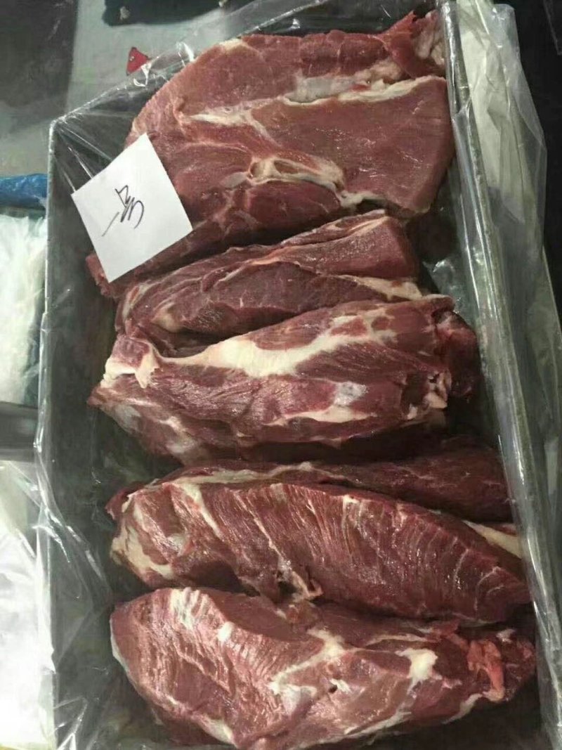 冻猪产品国产的母猪大板一号
