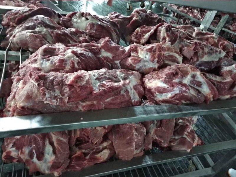 冻猪产品国产的母猪大板一号