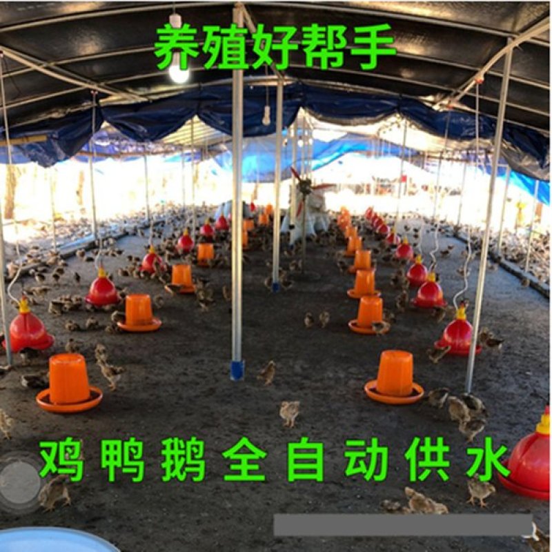 饮水器包邮养鸡设备鸡鸭鹅适用的自动饮喂水器