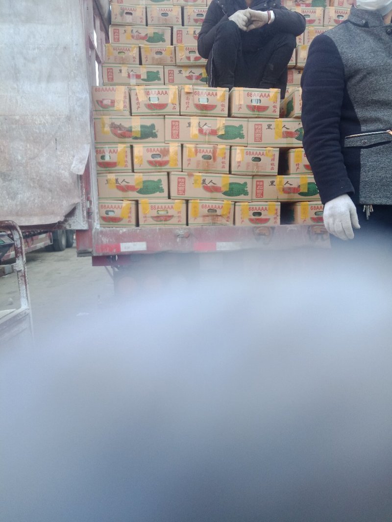 精品西瓜，可以视频看货，货源充足，