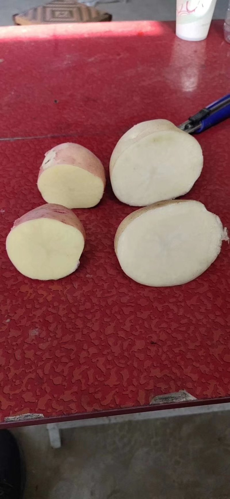 次品土豆新采挖可用于淀粉加工土豆片加工