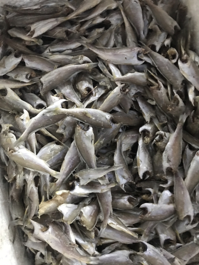 黄花鱼干咸鱼咸小黄鱼干
