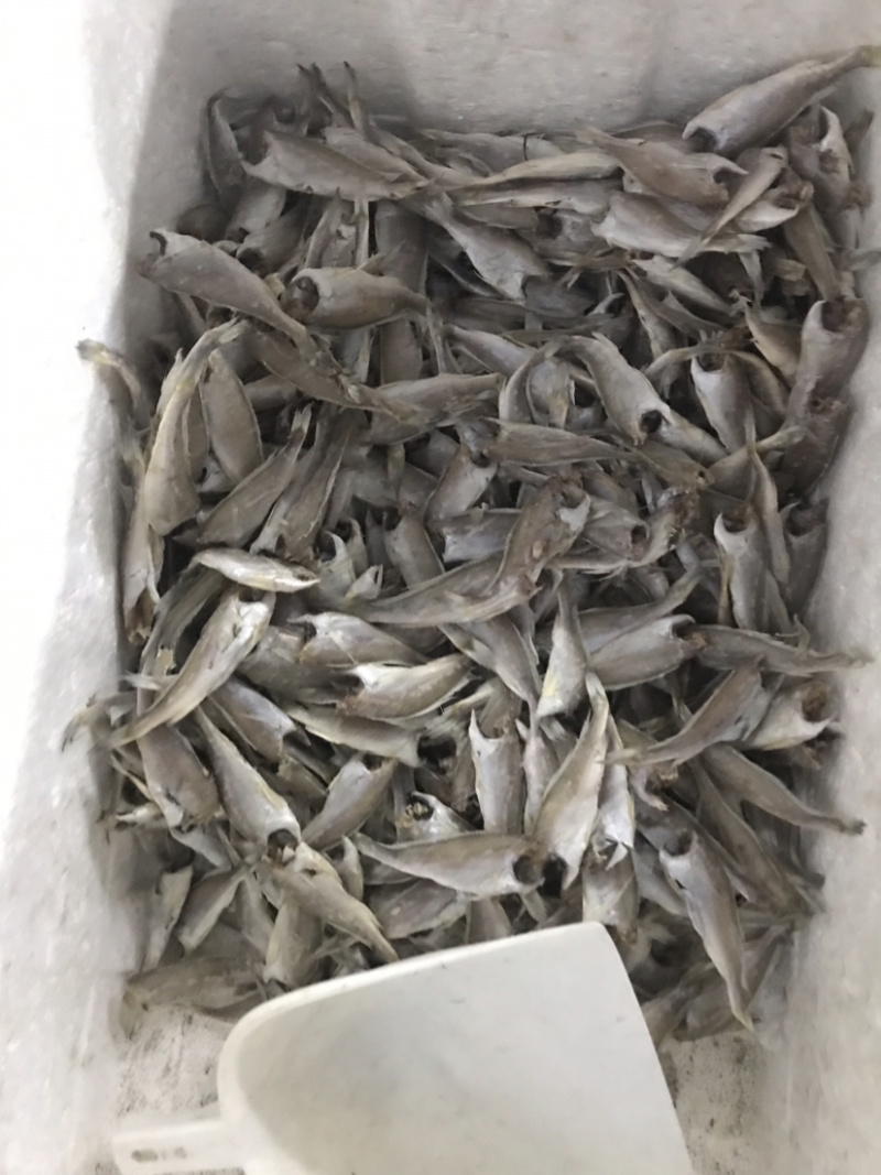 黄花鱼干咸鱼咸小黄鱼干