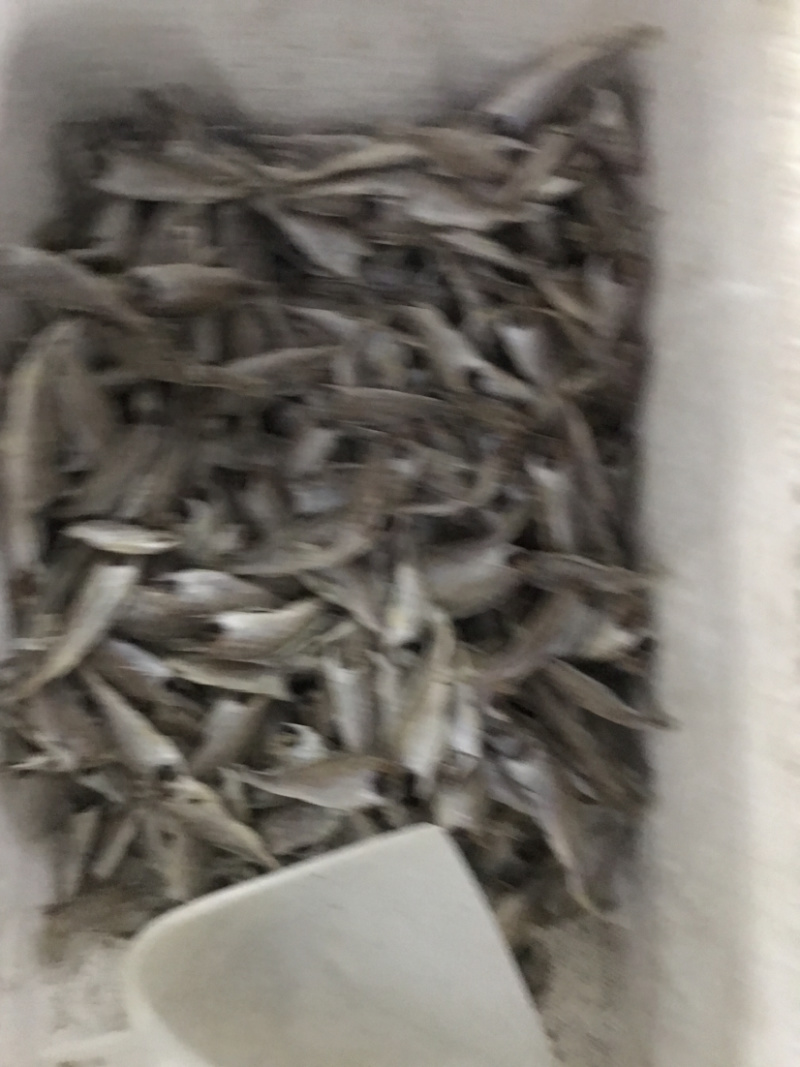 黄花鱼干咸鱼咸小黄鱼干