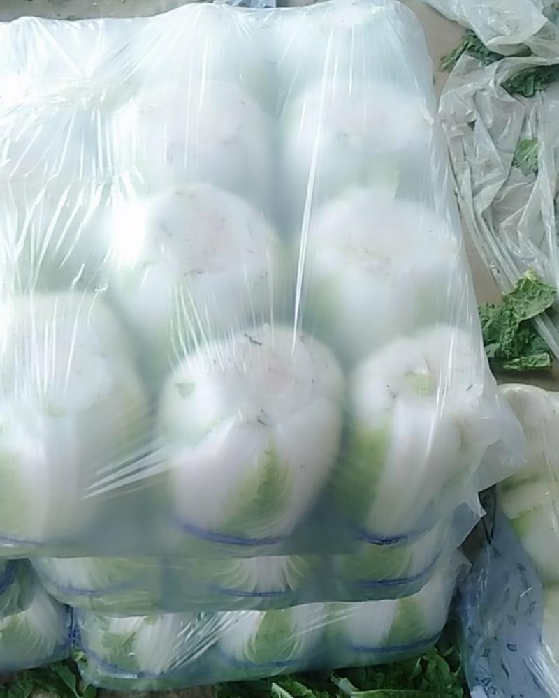 河北邯郸黄心大白菜大量上市中，一手货源，价格便宜，商