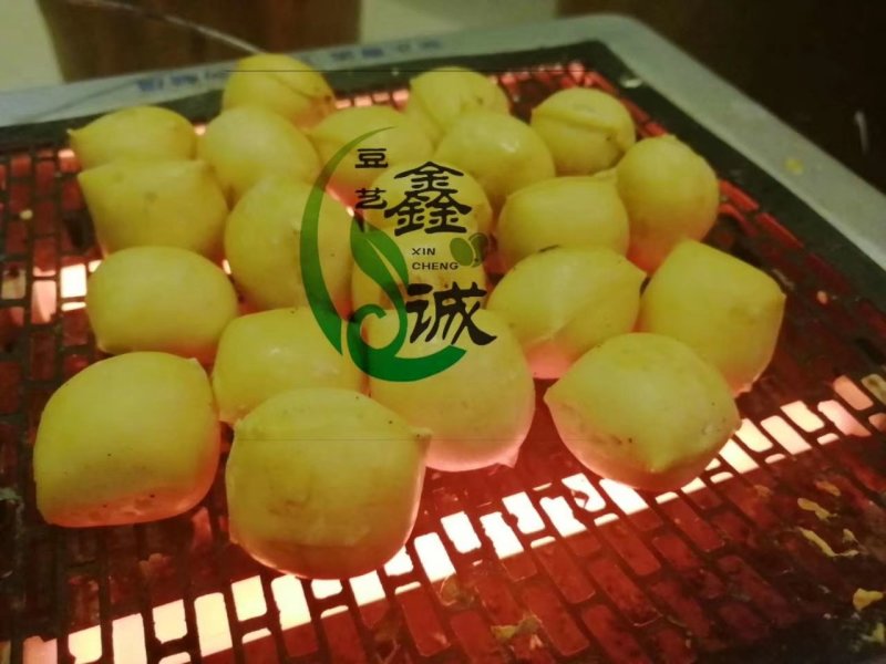 正宗云南石屏包浆豆腐（一件代发）鲜嫩爽滑营养丰富对接商超