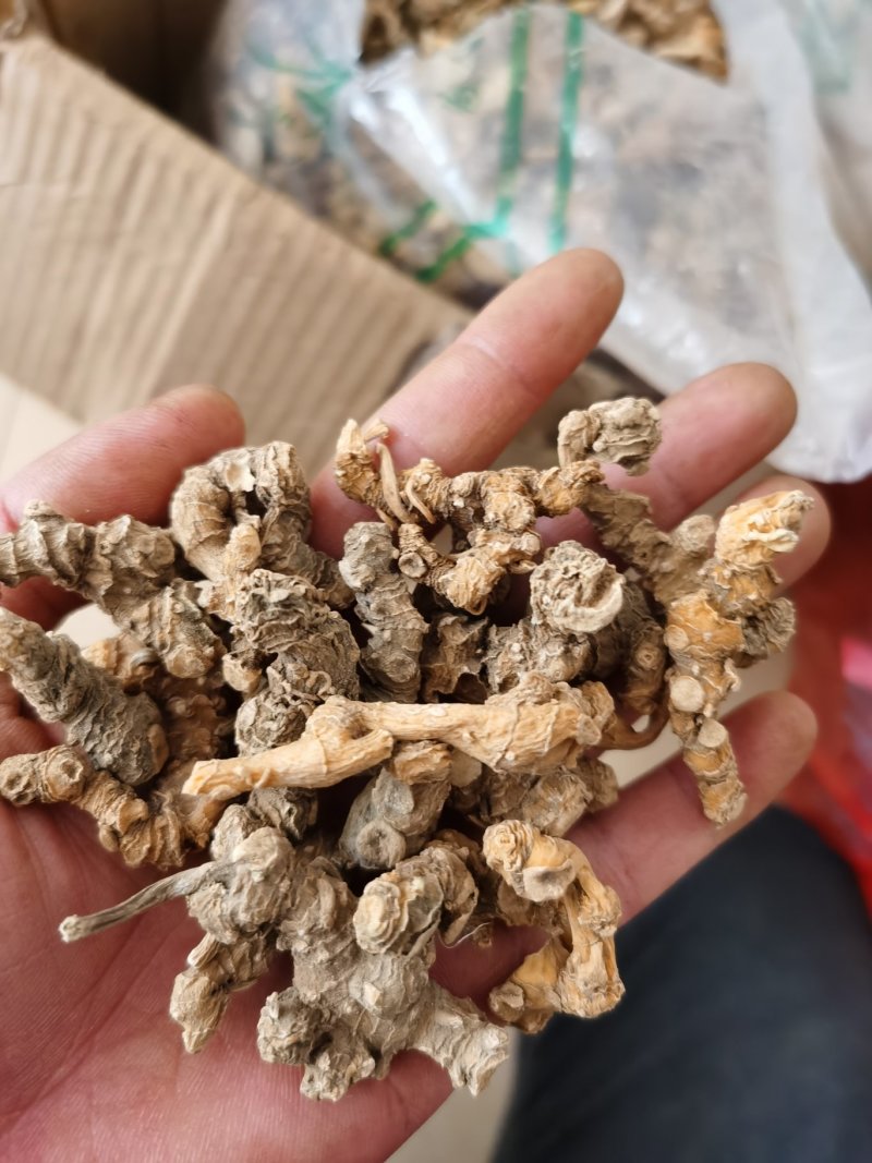 野生三七云南老挝产地直销野生三七田七可打粉