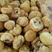 无熏硫猴头菇干货新农正宗新鲜猴头菇非东北特产古田猴头菇