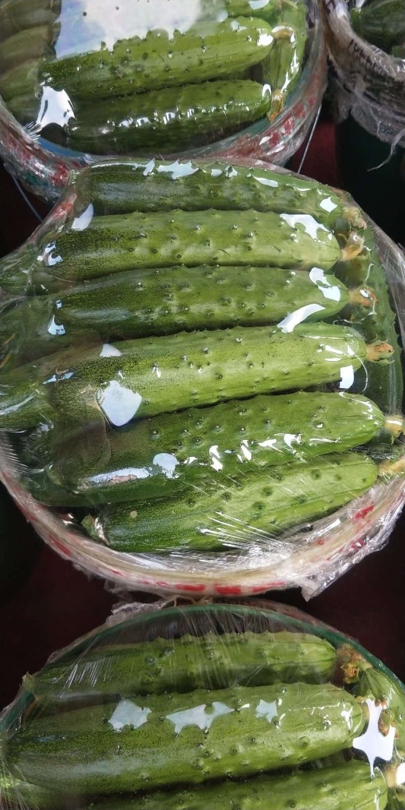 旱黄瓜