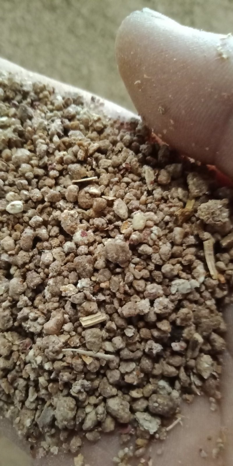 山东省，花生粕，二次饼粕