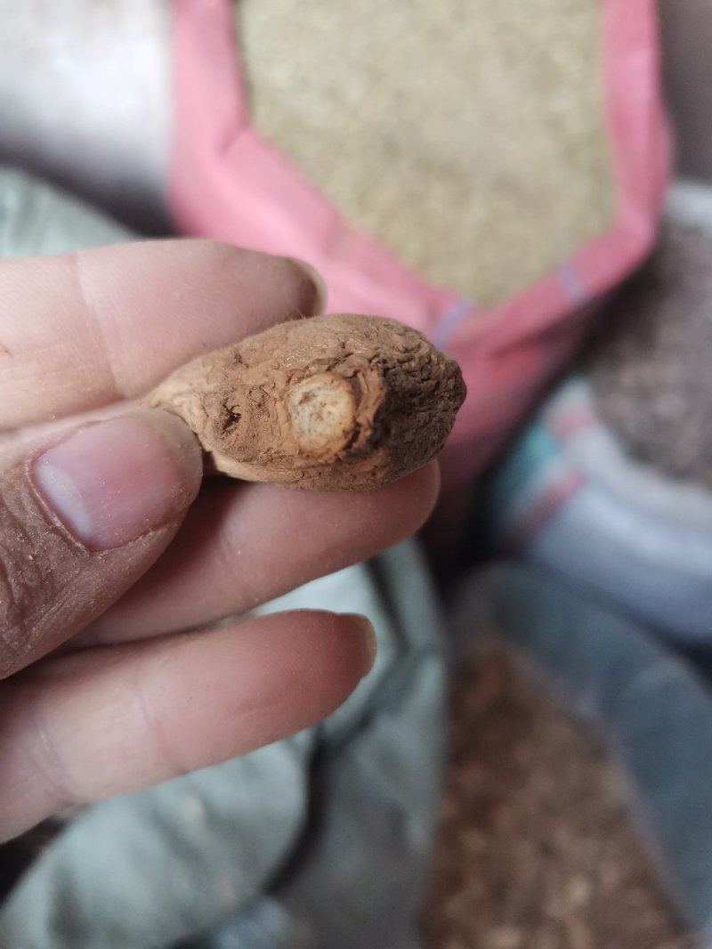 炮姜干品调料大全另售干姜一公斤发货