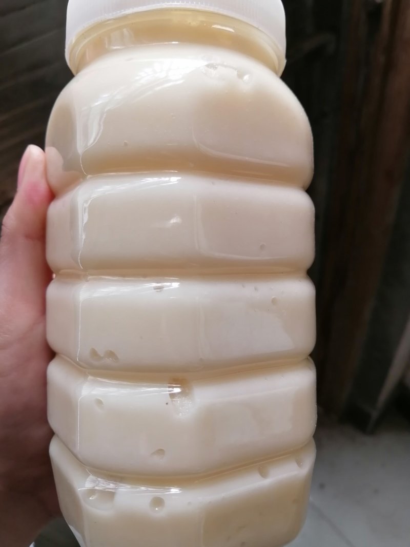 蜂蜜油菜花蜜结晶高浓度2022新蜜蜂蜜农家