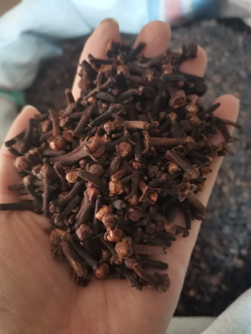 丁香正宗公丁香食药两用泡水亦可做调味料一公斤起