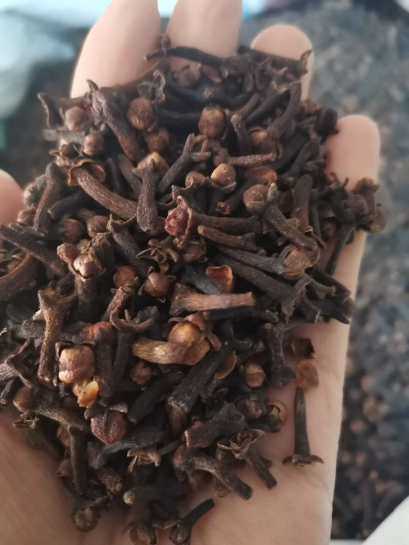 丁香正宗公丁香食药两用泡水亦可做调味料一公斤起