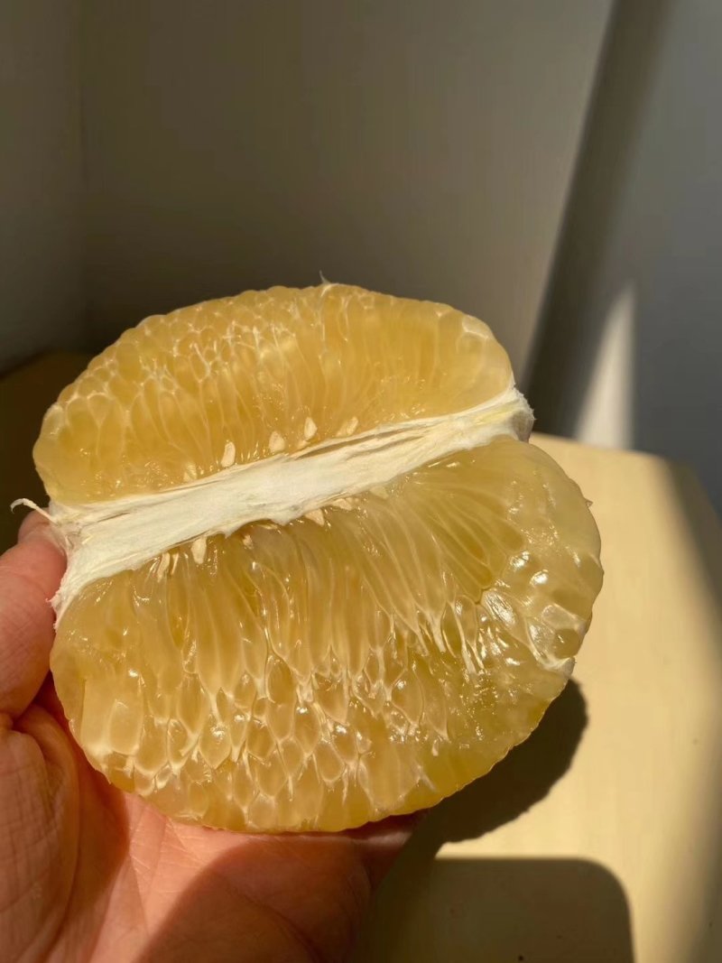红宝石葡萄柚苗提供种植管理技术