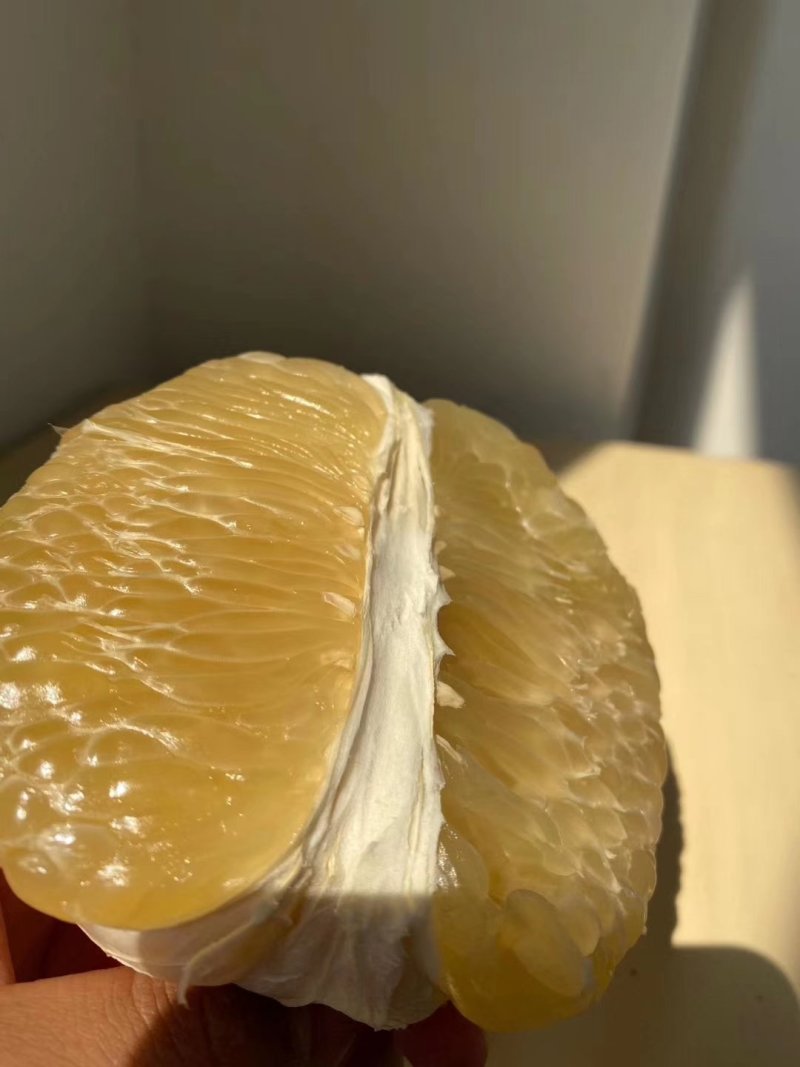 红宝石葡萄柚苗提供种植管理技术