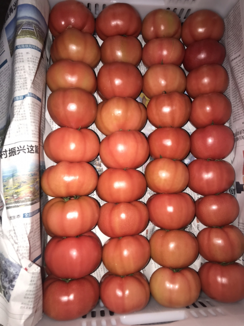 番茄🍅