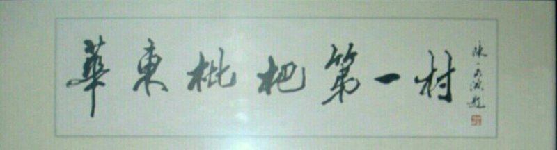 供应兰溪穆坞一级白玉枇杷