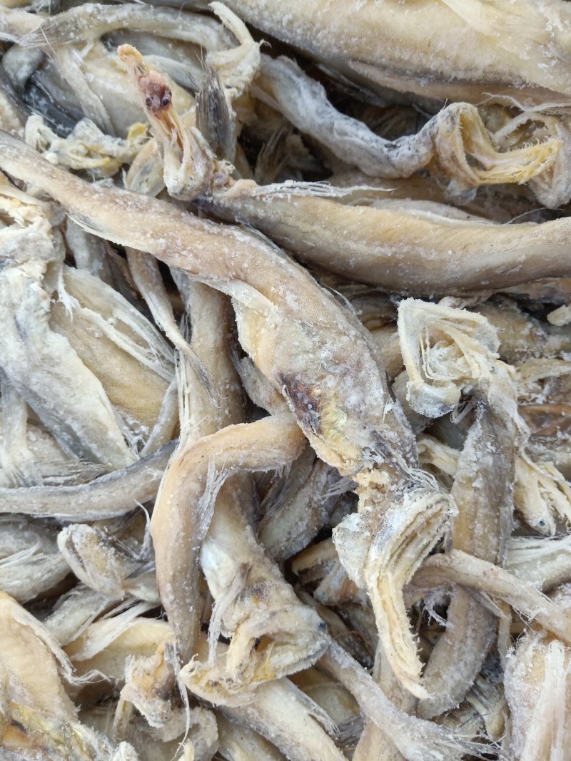 龙头鱼一款微咸鱼，干度好泡水之后怎么都好吃