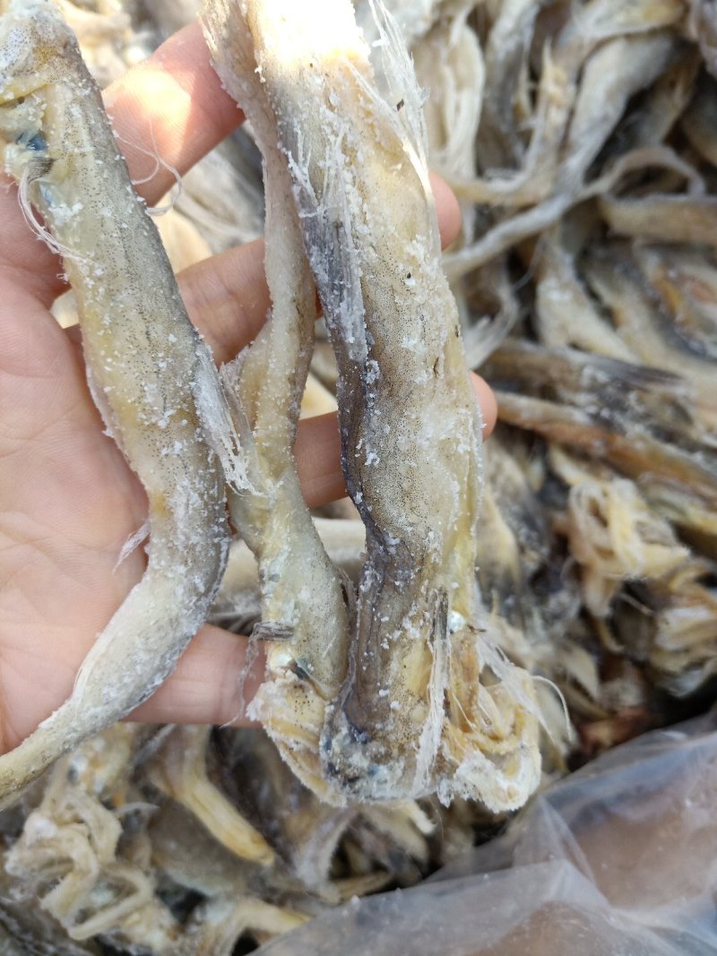 龙头鱼一款微咸鱼，干度好泡水之后怎么都好吃