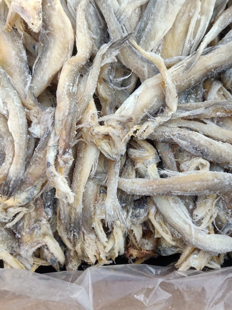 龙头鱼一款微咸鱼，干度好泡水之后怎么都好吃