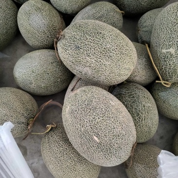 西周密
